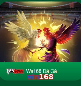 vin168